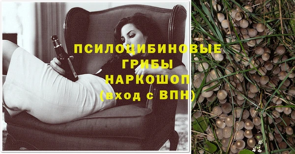стафф Инта