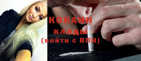 стафф Инта