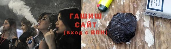 индика Каменка