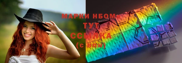 тгк Инсар