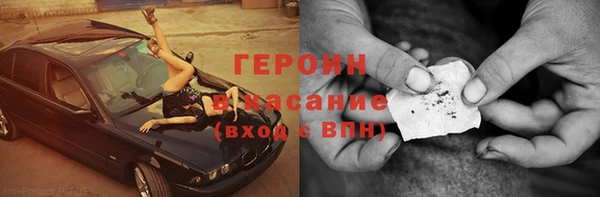 индика Каменка