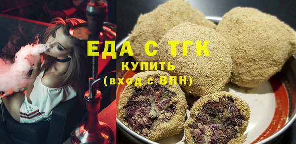 тгк Инсар