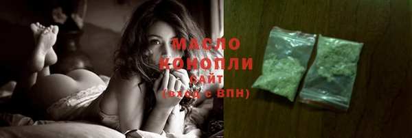 индика Каменка