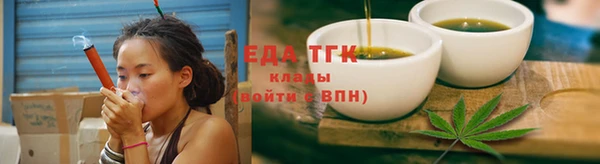тгк Инсар