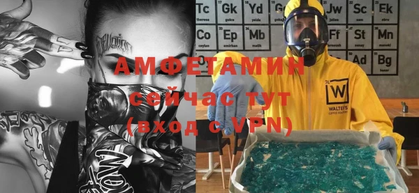 индика Каменка
