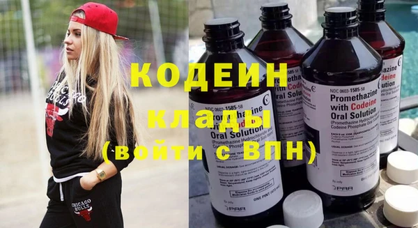 крисы Каменногорск