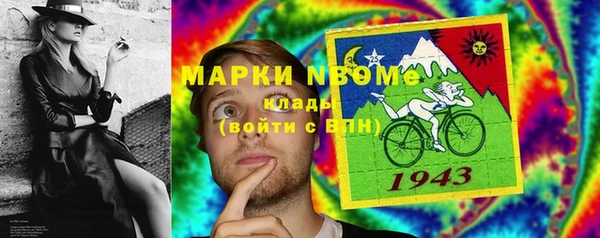 крисы Каменногорск