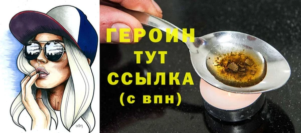 тгк Инсар