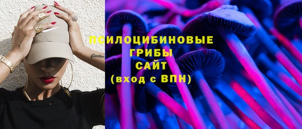 молекула духа Зеленокумск