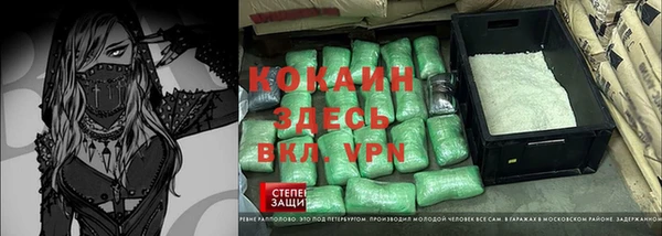 тгк Инсар