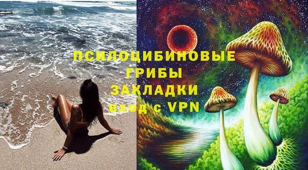 тгк Каменск-Шахтинский