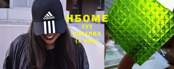 индика Каменка