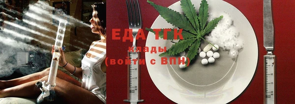 тгк Инсар